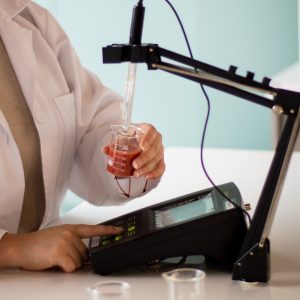 foodeology 001 conquito