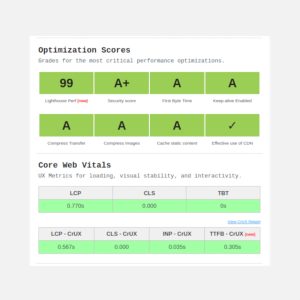 web performance report 001