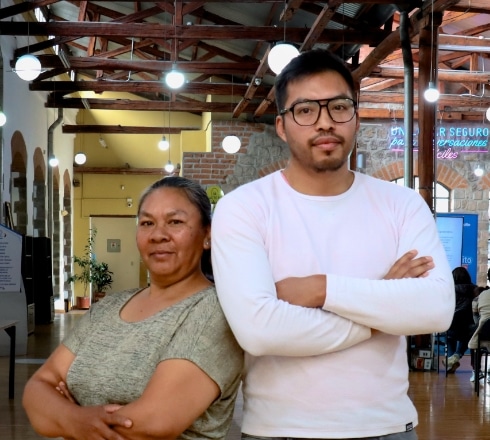 himpi productos apicolas 100% naturales y servicios técnicos para el cuidado de colmenas